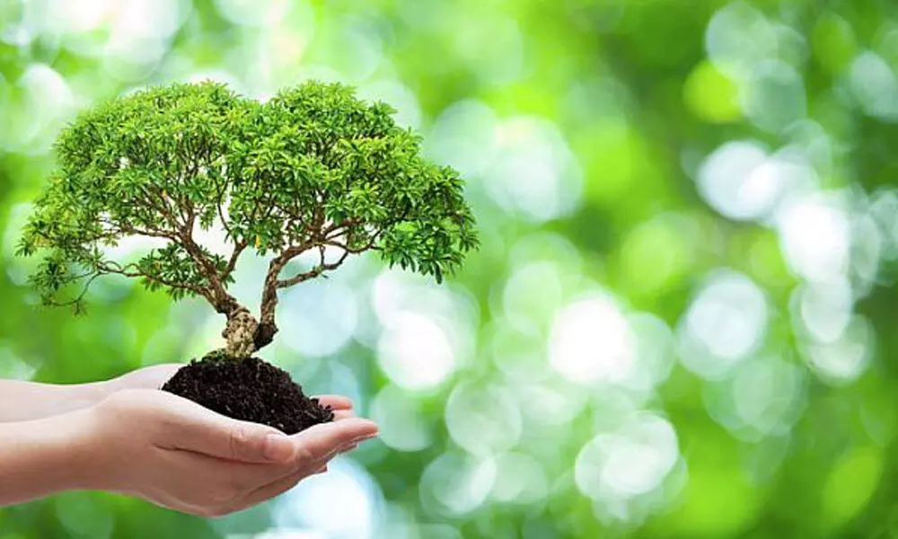 Join the Certified Environmental Studies Course with Uttarakhand’s Best Education Consultant – Unicoadmission